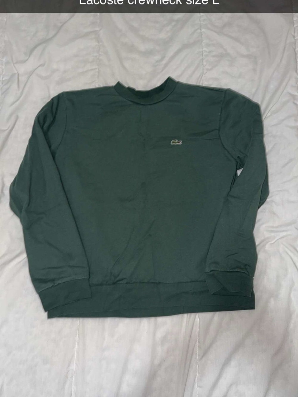 Lacoste Men's Crewneck Sweatshirt in Forest Green
